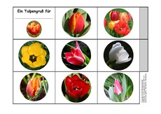 Leporello-Tulpengrüße-1.pdf